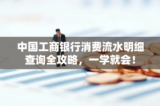 中国工商银行消费流水明细查询全攻略，一学就会！